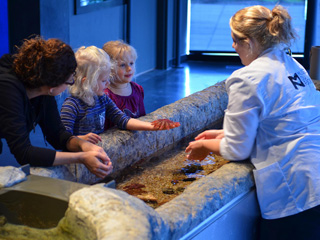 Musée du Fjord