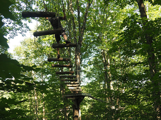 Parc de sentiers aériens - Forêt de Maître Corbeau