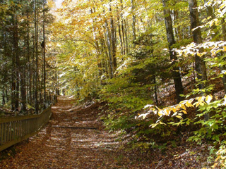 Parc des Chutes Lysander - Centre-du-Québec