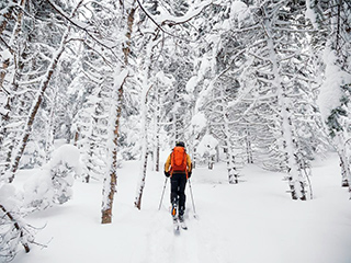 Parc du Massif du Sud