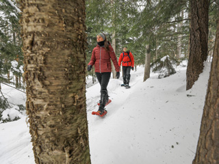 Parc du Mont-Bellevue