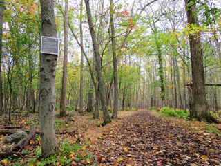 Parc Michel-Chartrand