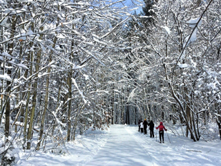 Parc régional des Grèves