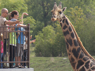 Parc Safari