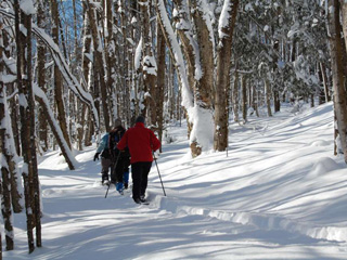 Sentiers de la Vallée Missisquoi Nord