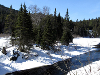 Société des parcs régionaux de la Matawinie