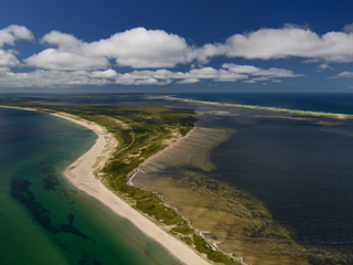 Plage de la Dune-du-Sud (Cormorandière)