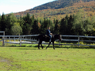 Ranch Massif du Sud - Chaudière-Appalaches