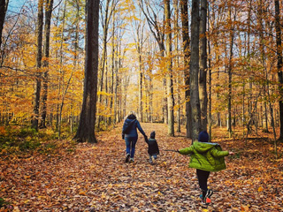 Randonnées en nature -  Drummondville et ses environs