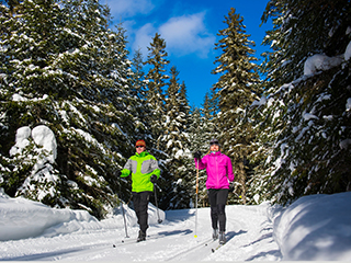 Réserve faunique des Laurentides