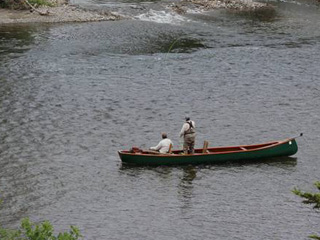 Réserve faunique des rivières Matapédia-et-Patapédia - Gaspésie