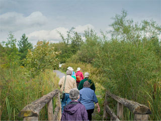 Réserve naturelle Boisé des Douze