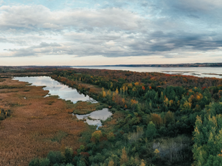 Réserve Naturelle du Marais Léon-Provencher