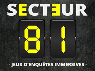 Secteur 81