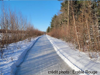 Sentier de patinage en forêt de l'Érable rouge