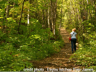 Sentier du lac Imbeau