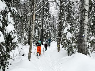 Ski de fond au Mont Grand-Fonds