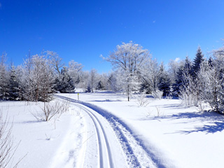 Ski de fond La Clé des bois