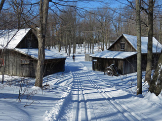 Ski de fond Saint-François