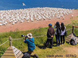 Tourisme Percé