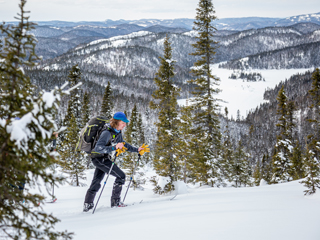 Région de Saguenay—Lac-Saint-Jean