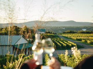 Vignoble Ste-Pétronille - Québec