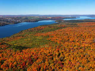 Visite des parcs nationaux du Bas-Saint-Laurent - Bas-Saint-Laurent