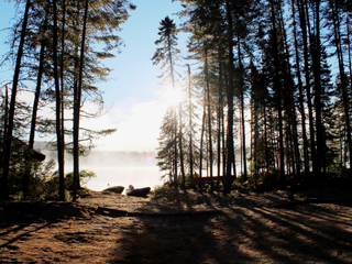 Laurentides