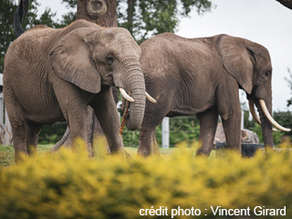 Zoo de Granby