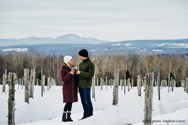 La Route des vins de Brome-Missisquoi