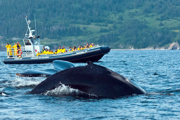 Croisières baie de Gaspé inc.