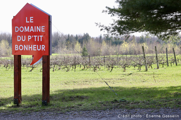 Domaine du P’tit Bonheur