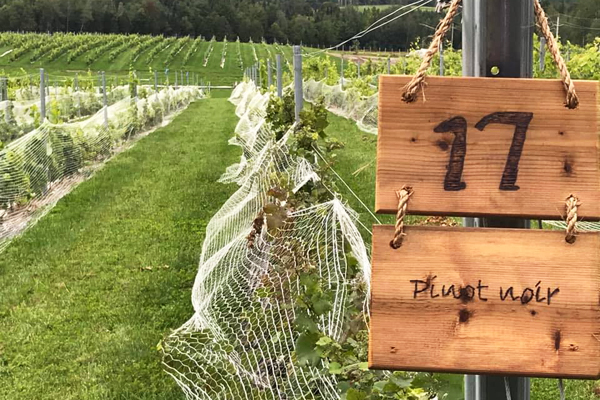 Domaine Girouard