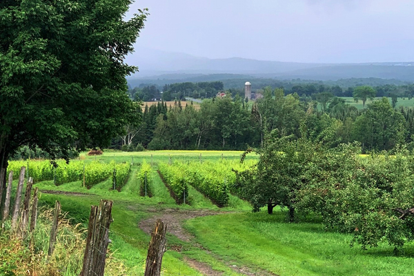 Domaine ValBrome