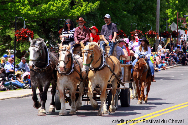 Festival du Cheval de Princeville