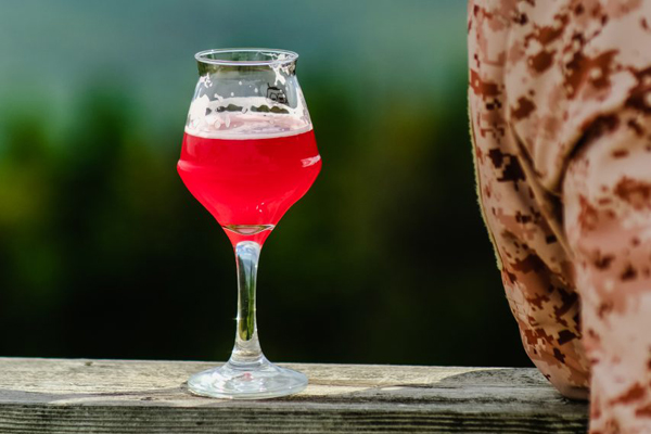 Festival de bière Grande Coulée