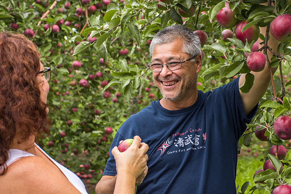 Les vergers la tête dans les Pommes