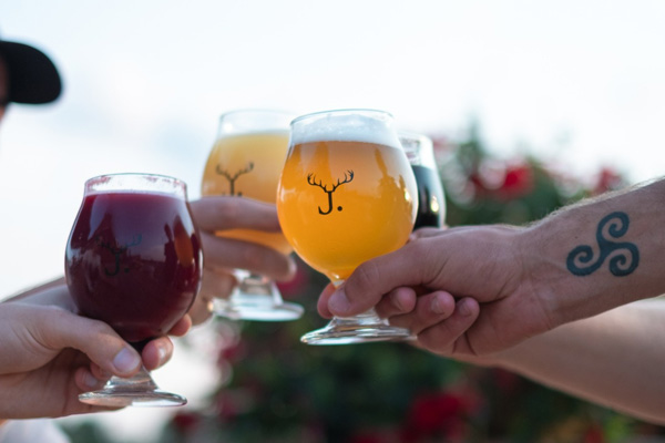 Microbrasserie Jackalhop