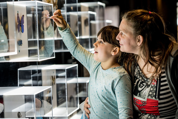 Musée de la nature et des sciences de Sherbrooke