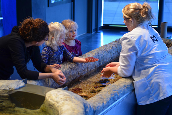 Musée du Fjord