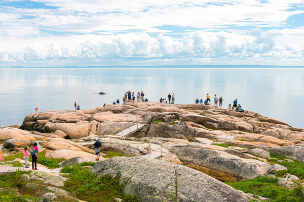 Parc marin du Saguenay-Saint-Laurent