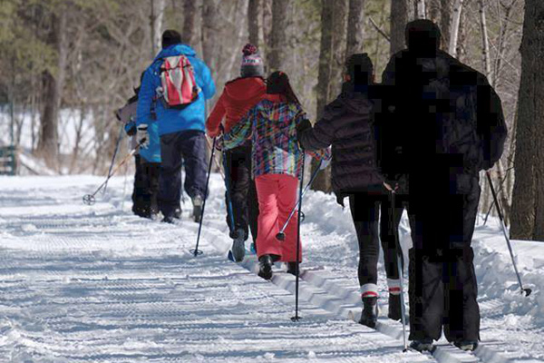 Parc nature Les Forestiers-de-Saint-Lazare