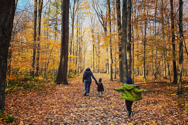 Randonnées en nature -  Drummondville et ses environs
