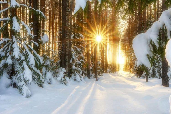 Relaxation et nature cet hiver en Petite Nation