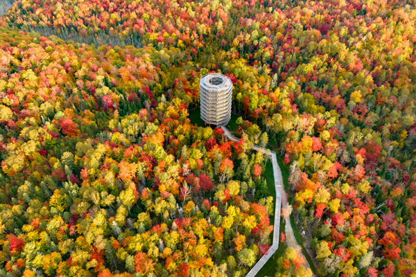 Sentier des cimes Laurentides