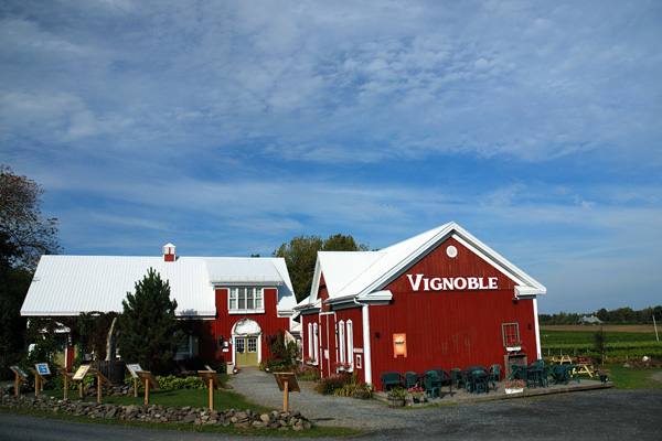Vignoble Gagliano