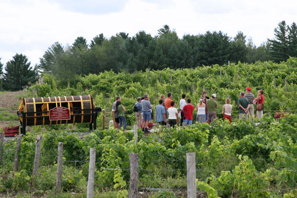 Le Vignoble Le Cep d'Argent