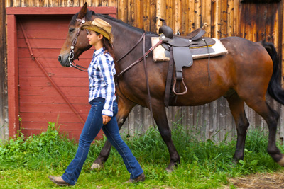 Expériences Équitation