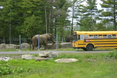 Sortie scolaire