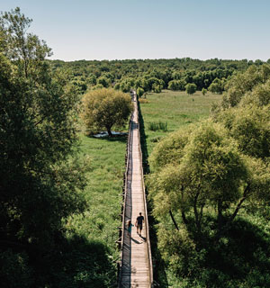 Route des Navigateurs 